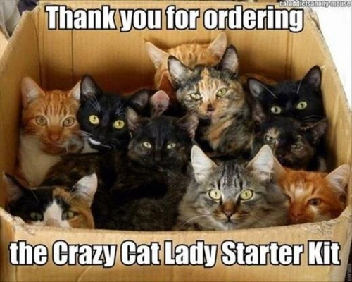 Crazy Cat Lady Starter Pack