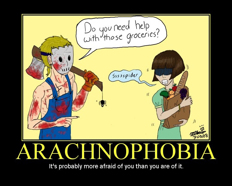 Irony of Spider Fear