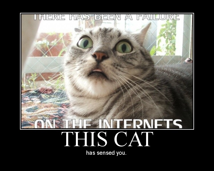 Internet Cat Failure Detection
