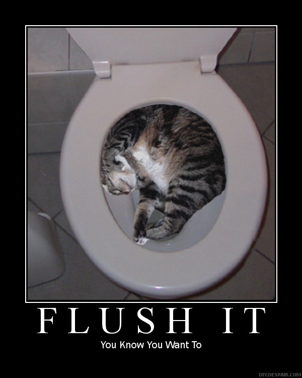 Cat in a Compromising Position