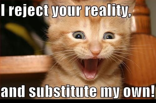 Defiant Kitten's Alternative Reality