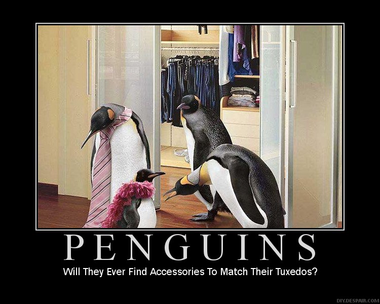 Penguins' Fashion Dilemma