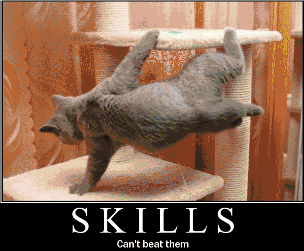 Acrobatic Cat Shows Off Skills