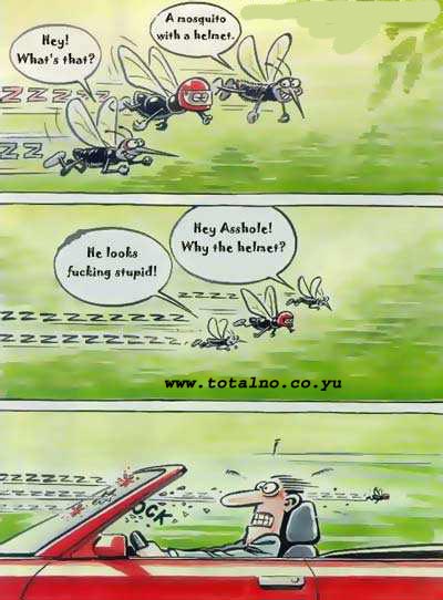 Mosquito with a helmet misunderstanding