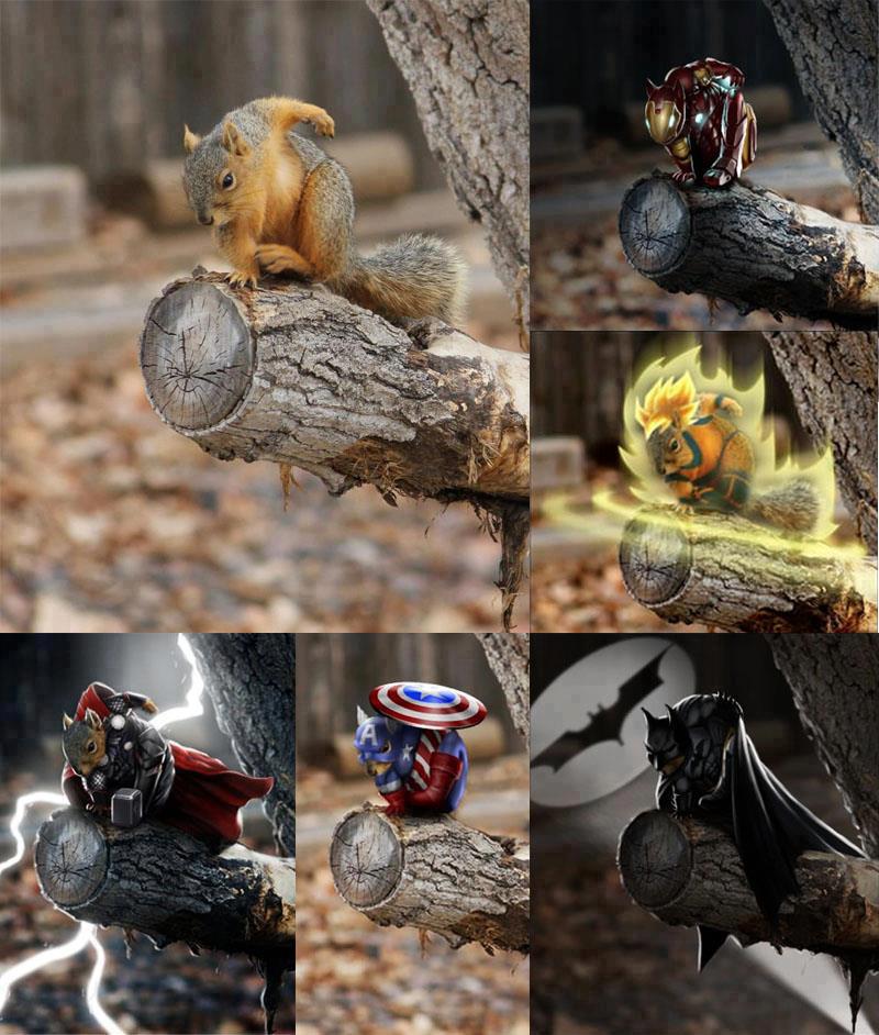 Superhero-themed squirrel montage