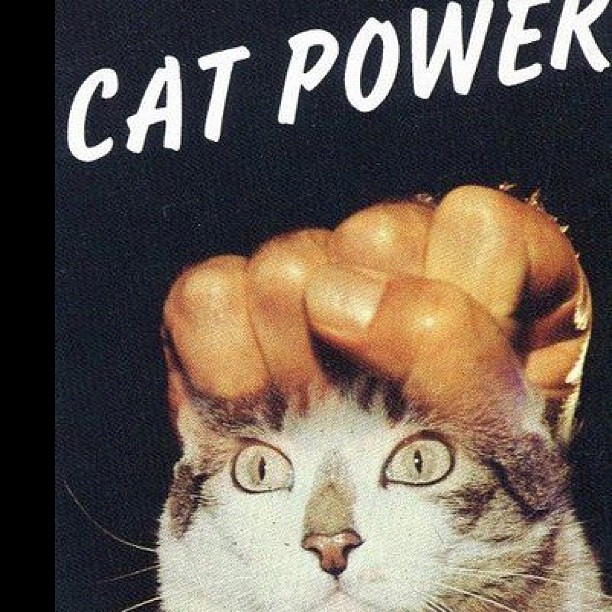 Cat asserting dominance