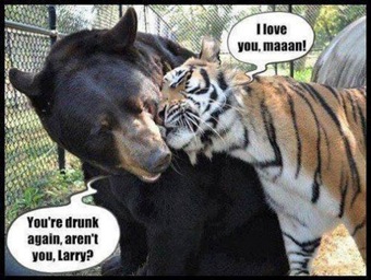 Unlikely Animal Friends Meme