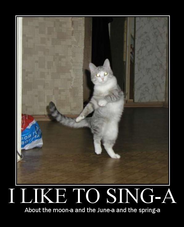 Opera-singing cat sensation