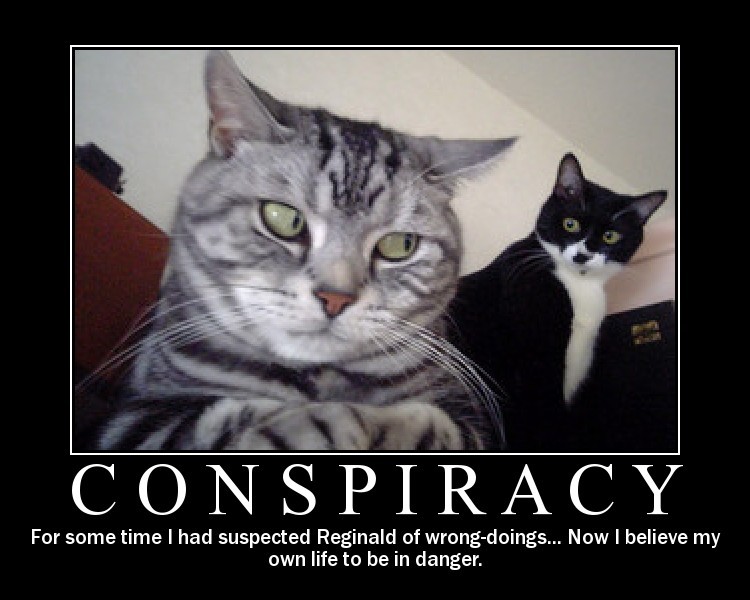 Suspicious Cats Conspiracy Meme