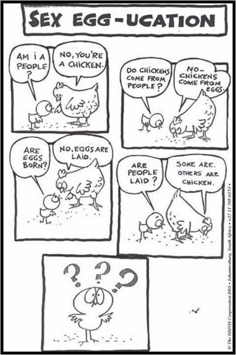Chicken and Egg Confusion