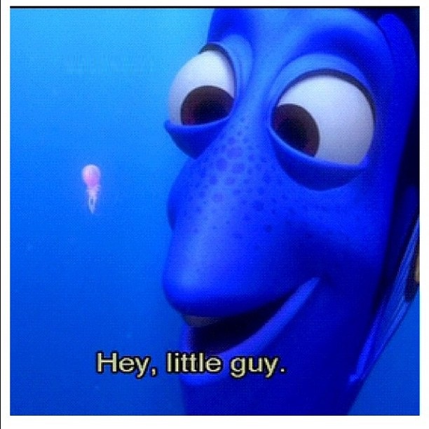 When you spot your mini-me!