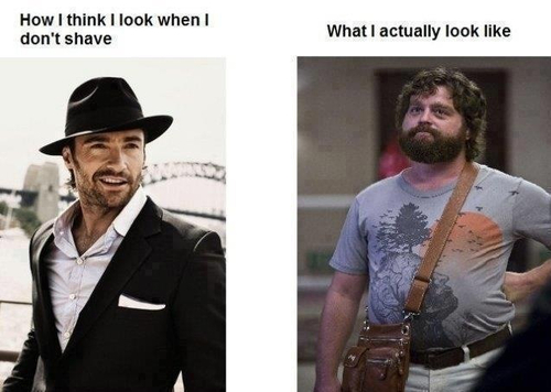Expectation vs. Reality of a Beard