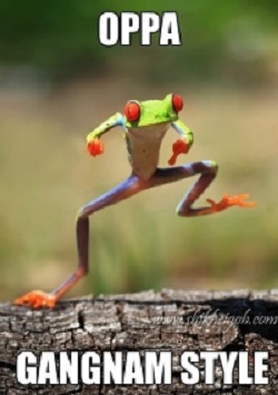 Frog Imitates Gangnam Style Dance