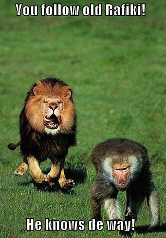 Trust the jungle GPS!