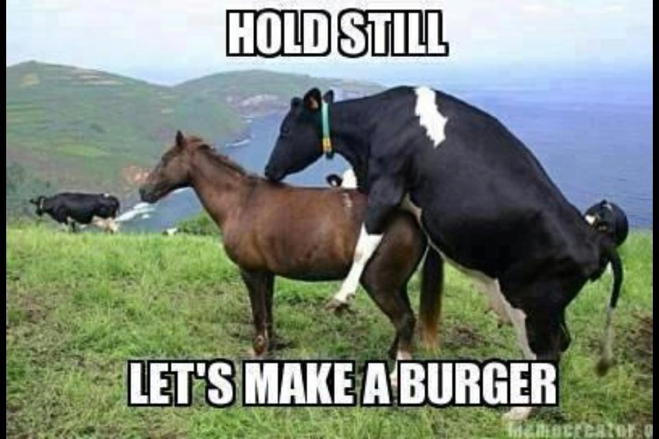 Cow's Guide to Fast Food