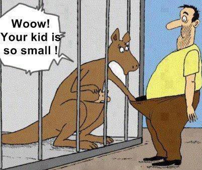 Kid or kangaroo: Parenting mix-up!