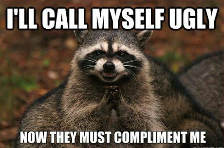 Reverse psychology by Mr. Raccoon