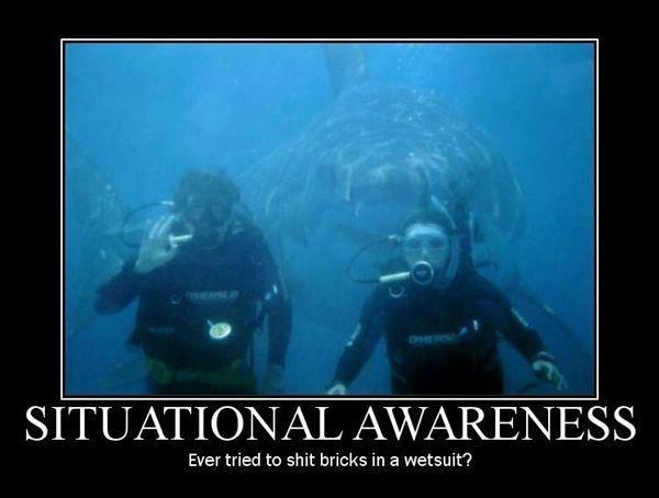 Scuba Diving Surprise