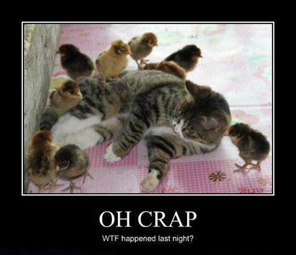 The morning after a wild chick party.