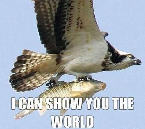 Aladdin's aquatic adaptation!