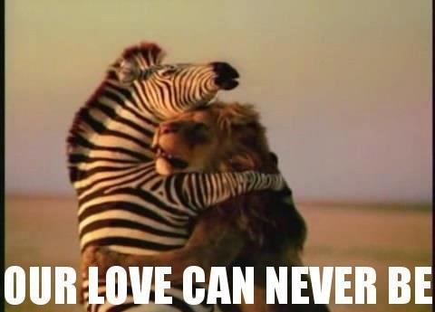 Star-crossed lovers in the savannah!