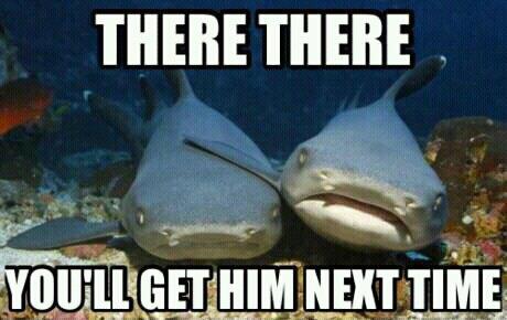 Consoling Shark Buddy