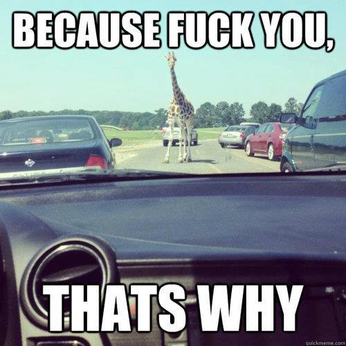 Ultimate Photobomb by Nature!