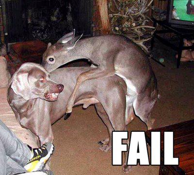 Deer-ly mistaken identity!