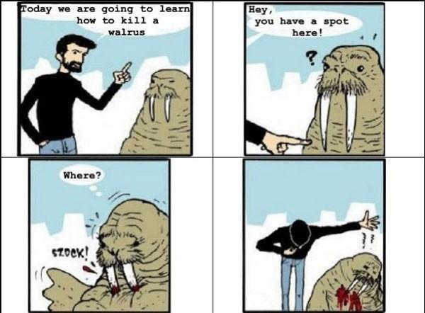 Malicious Walrus Prank