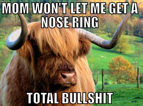 Rebellious Highland Teen's Dilemma