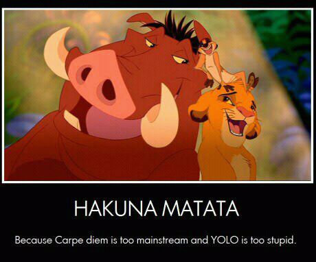 No worries, just warthog wisdom!