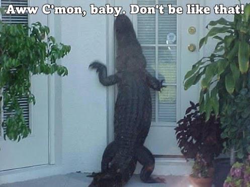 Alligator at the Door Meme