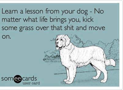 Life Advice from a Dog Perspective