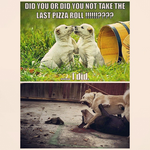 Pizza Roll Dispute Escalates