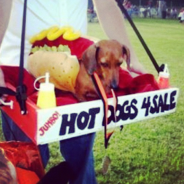 Adorable Hot Dog Stand