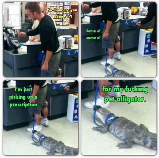 Man casually brings alligator to store.