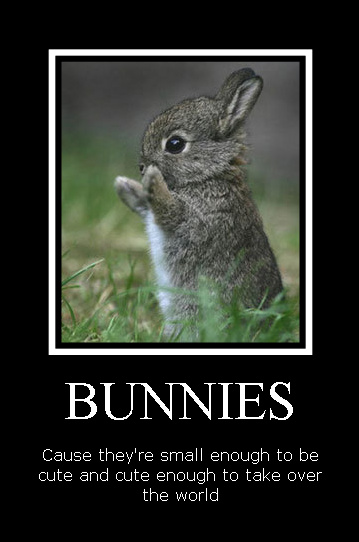 Plotting world domination, adorably!