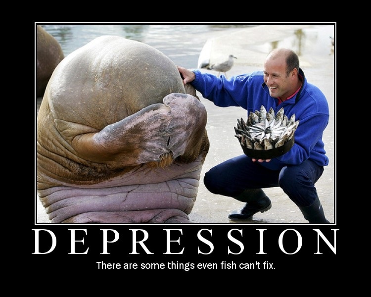 Consolation from a Sea Friend