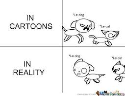 Expectation vs. Reality: Pet Edition