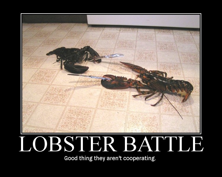 Lobsters in a Kitchen Duel