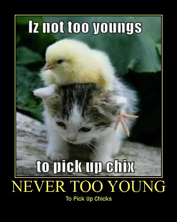 Chick Magnet in Training