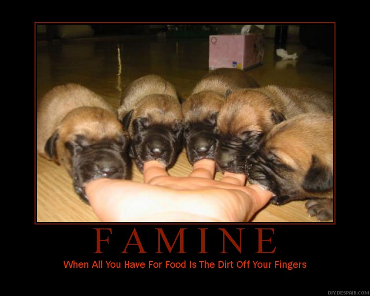 Puppies Mistaking Fingers for Food