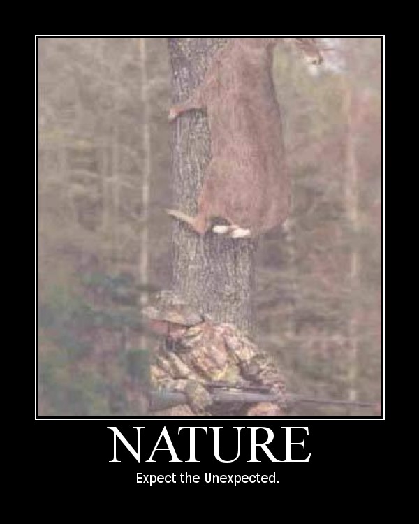 Ninja Deer's Sneaky Camouflage!