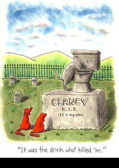 Dog's humorous epitaph about drinking