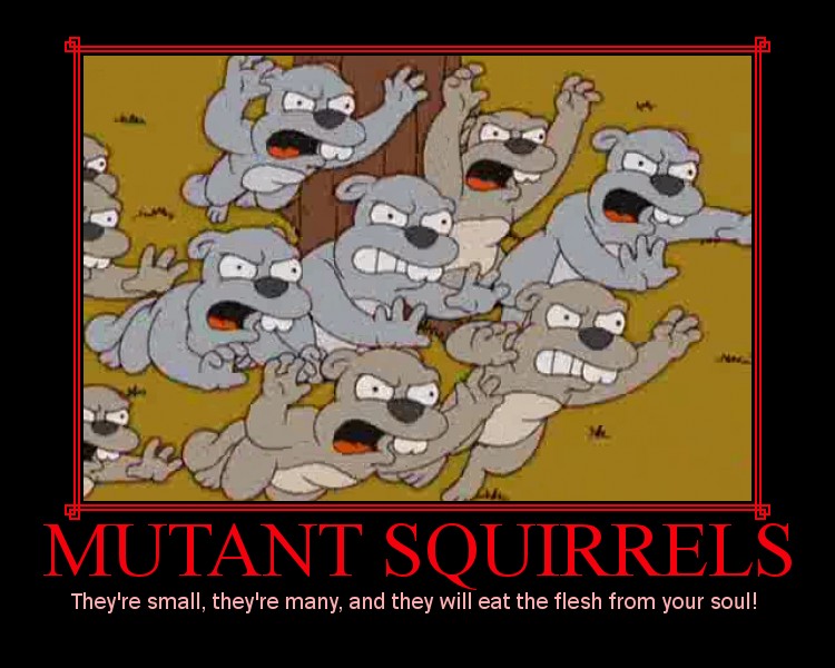 When squirrels go rogue!