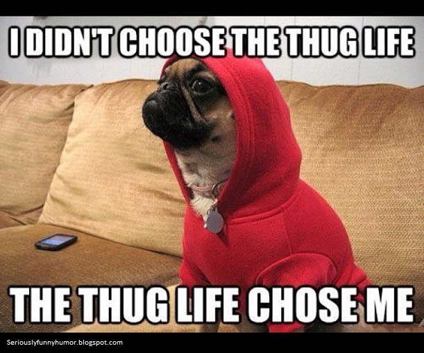 Pug Life Parody Meme