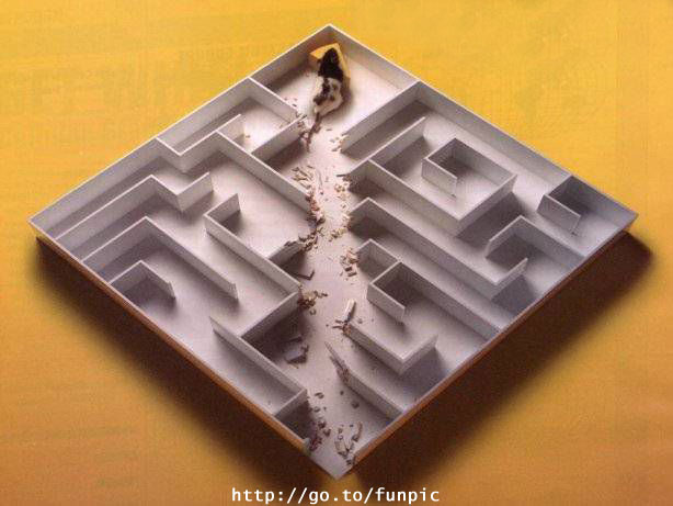 Mouse Speedrun: 0 Cheese Left Behind!