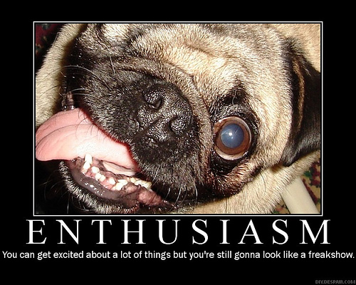 Enthusiastic Pug Looks Hilarious