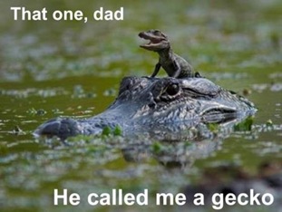 Gecko mistaken for a crocodile.