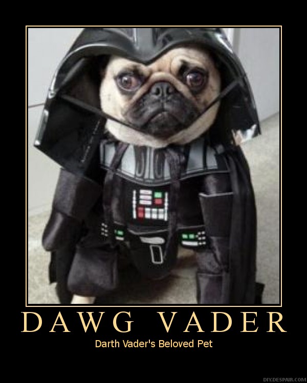 Pug Dressed as Darth Vader